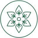 растителен, веган протеин